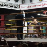 Muay Thai 5