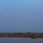 Sunrise over the Linyanti River