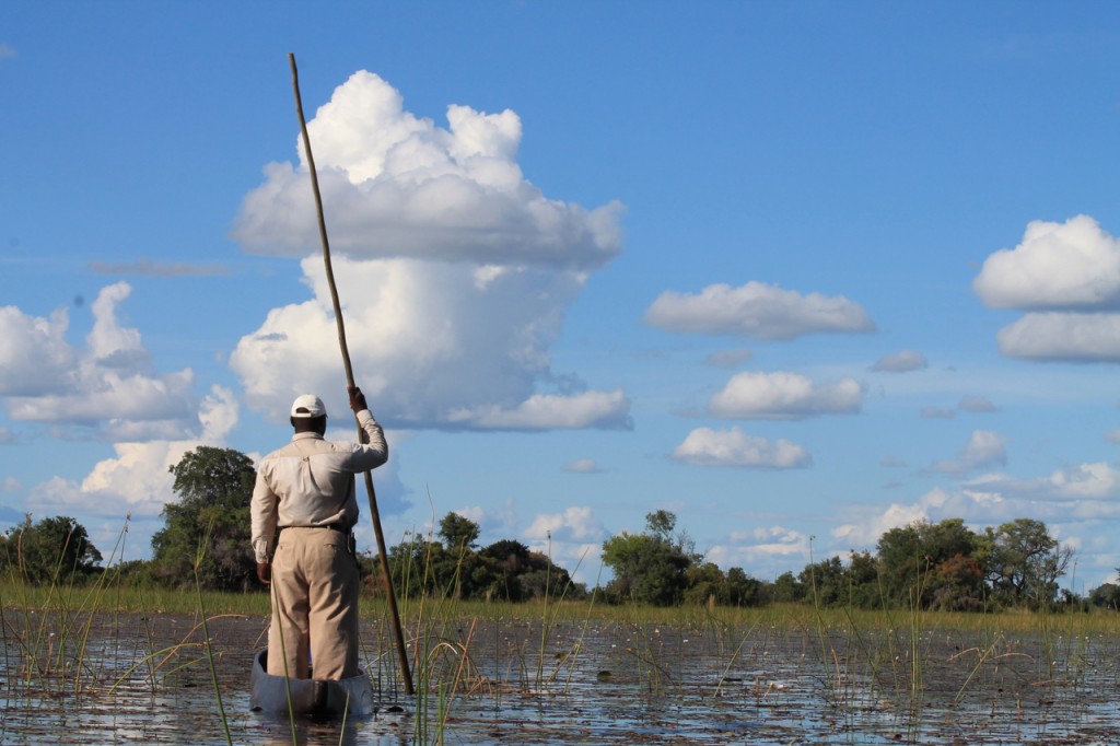 Ronald, Our Okavango Guide