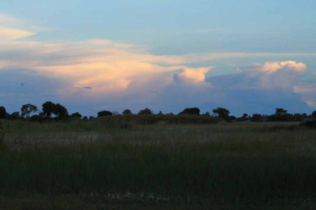 Sunset in the Okavango Delta