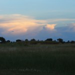 Sunset in the Okavango Delta