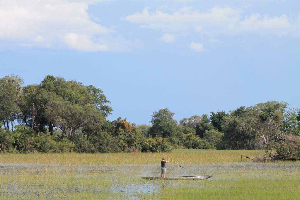 John Paddling a Mokoro in the Okavango Delta